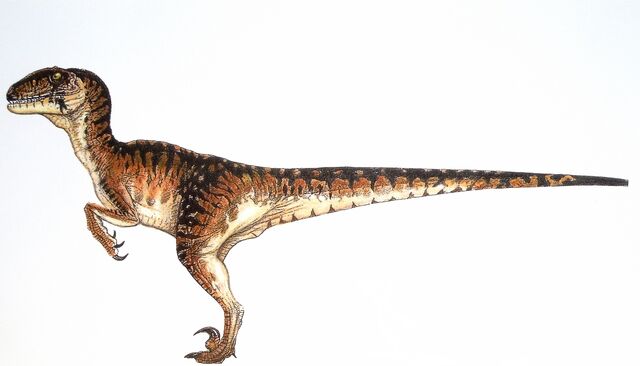File:Velociraptor-small.jpg