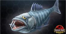 Enchudus.jpg
