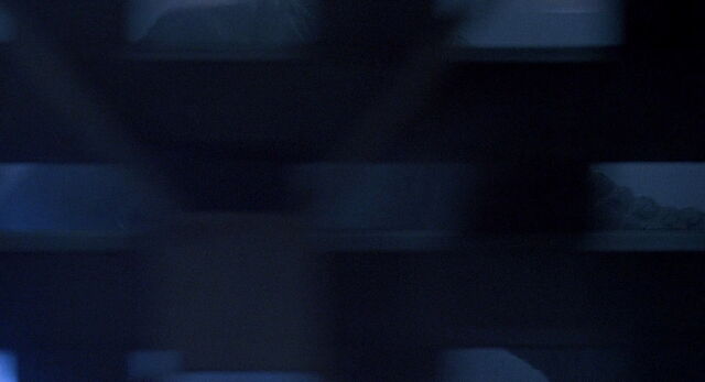 File:Jurassic-park-movie-screencaps.com-209.jpg