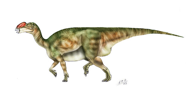 File:Muttaburrasaurus langdoni by unlobogris.jpg