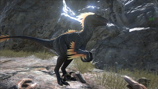 File:Deinonychus567.jpg