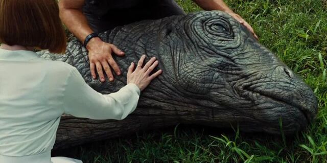 File:SW00020Resized-720x359.jpg