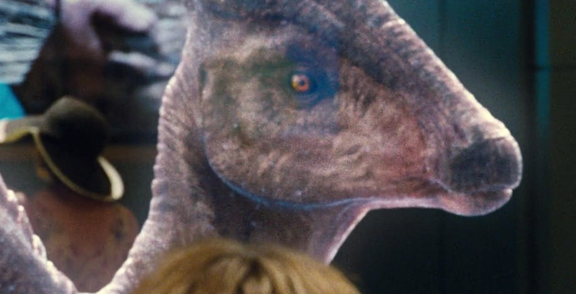 File:Jw holopara close.png