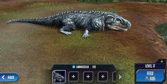 File:Limnoscelis Base.jpg