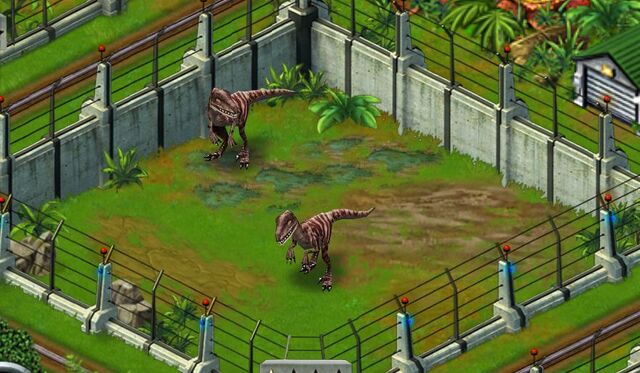 File:Velociraptor 1Star.jpg
