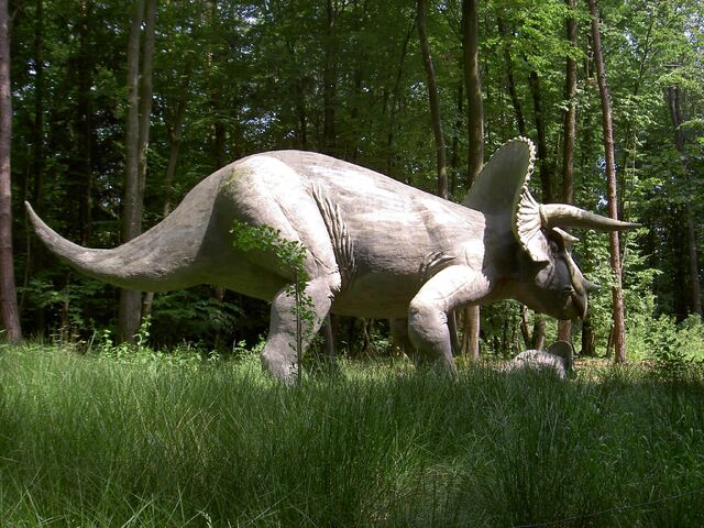 File:Triceratops.jpg