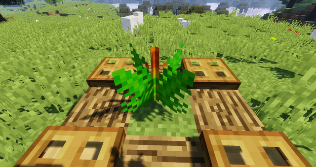 File:Cinnamon Fern.png