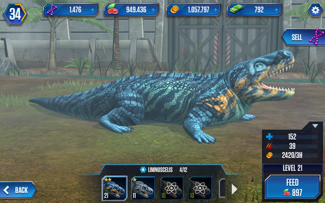 File:Limnoscelis3.png