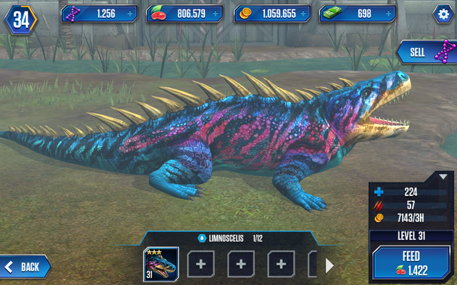 File:Limnoscelis4.png