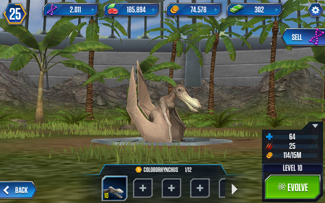 File:Coloborhynchus1.png