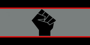 Volosia Black Hand Flag
