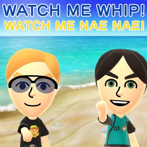 File:Whipnaenae.jpeg