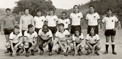 Sfc1971