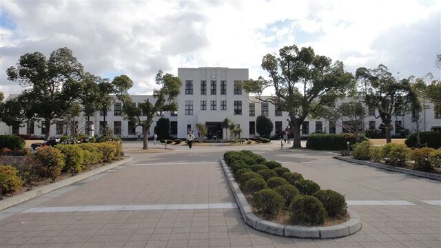 Archivo:P4.jpg