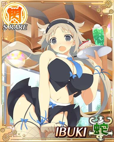  Character Card Sleeves EX Series Senran Kagura HIBARI