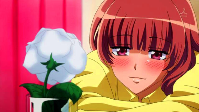 File:Flower and Sakura.jpg
