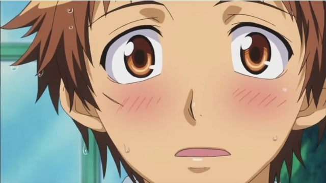 Image - Close up hinata.jpg | Kaichou Wa Maid-Sama! Wiki | Fandom