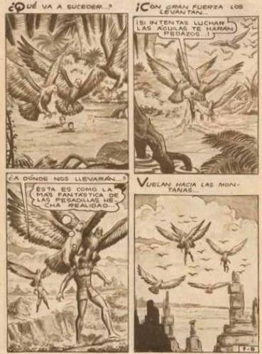 Pajaros