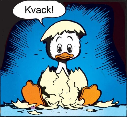 Fil:ImageÄGGSKAL.jpg