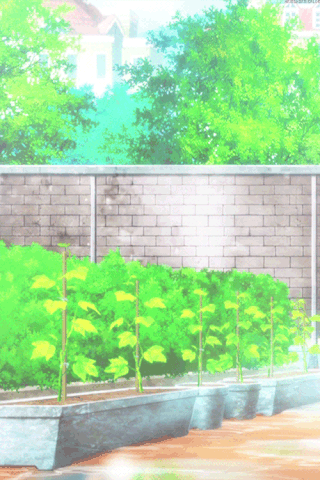 File:Anubis 4.gif