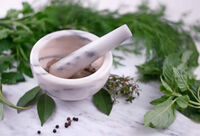 Homeopathy 385x261