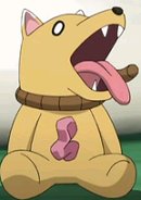 File:Strangled stray dog 2507.jpg