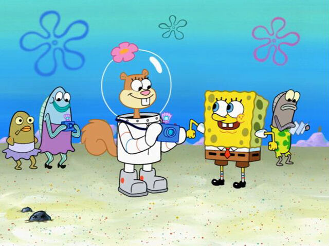 Plik:Sponge-cation-12.jpg
