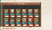 Reinforcementexpansioncashshop