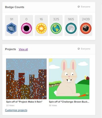 File:Badge and projects.jpg