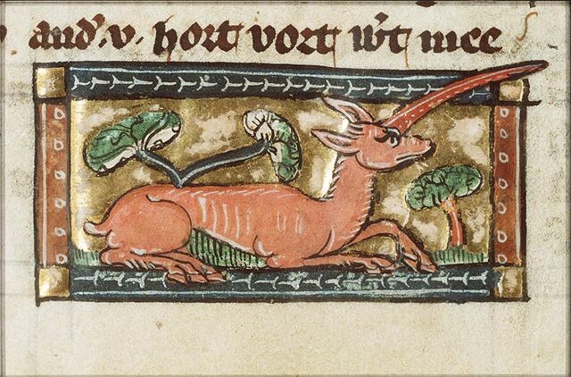 File:Der naturen bloeme KB Unicornus.jpg
