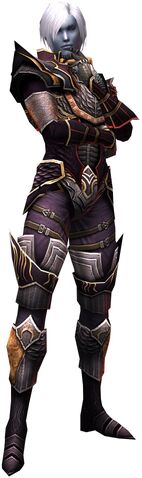 File:Duelist II.jpg