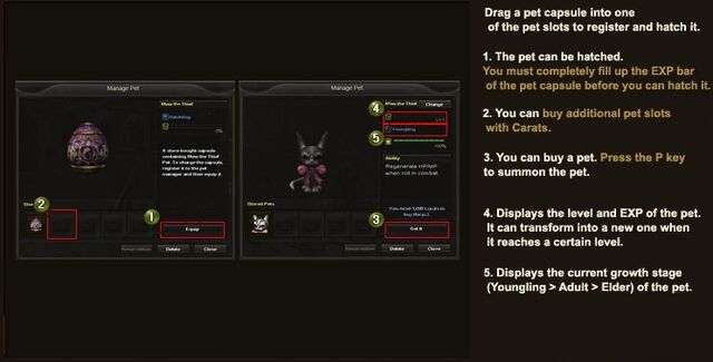 File:Basics 17.jpg