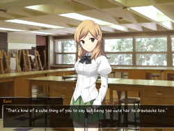 Sakiscreenie.png