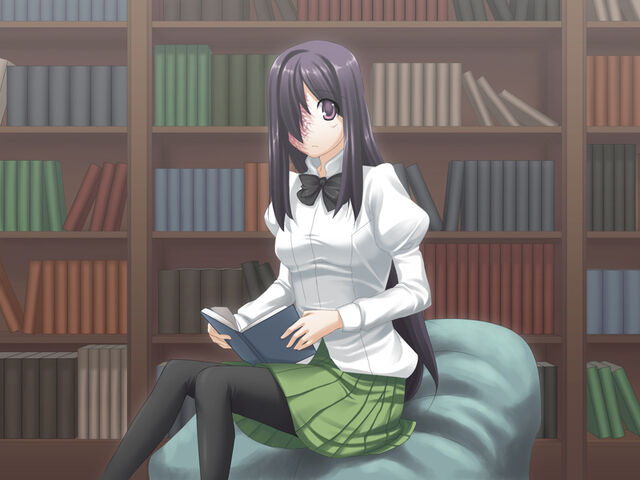 Файл:Hana library.jpg