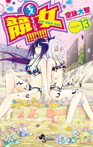 File:Volume 13.jpg