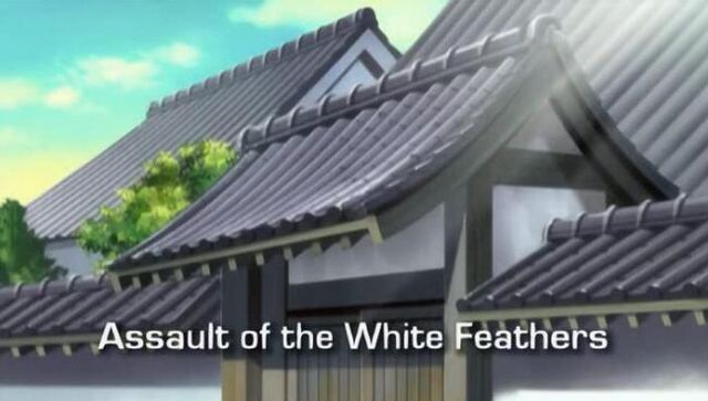 File:Kekk19-feathers.jpg