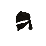 Ninja Zukin Icon