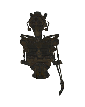 Skeleton Torso