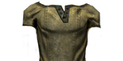 Leathershirt