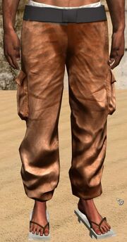 Cargopants (Sneaky Chain)