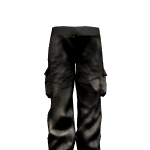 Cargopants Reinforced Icon