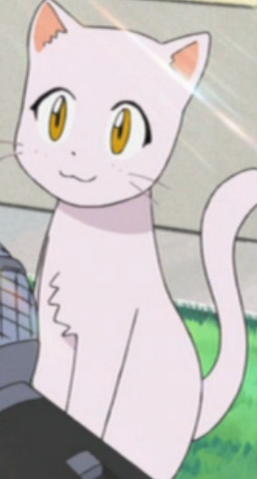 File:Neko.png