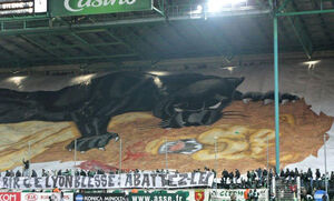 ASSE2005Lyon.jpg