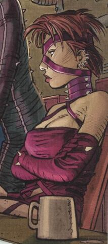 File:Nightbitch.jpg