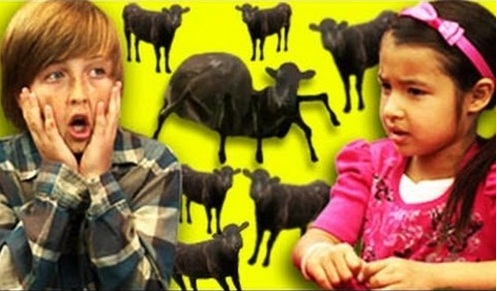 File:Kr cows cows cows.jpg