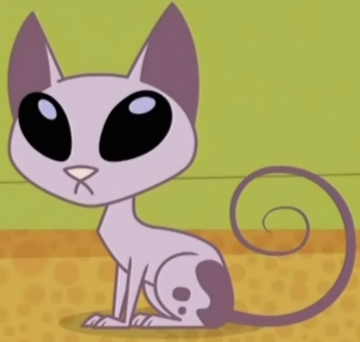 Archivo:Kat fans.png