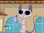 Kid vs Kat 037