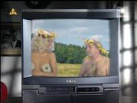 Edzio w telewizji.jpg