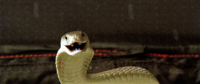 File:ElleMamba.jpg