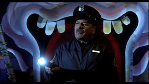 Amusement Park Security Guard